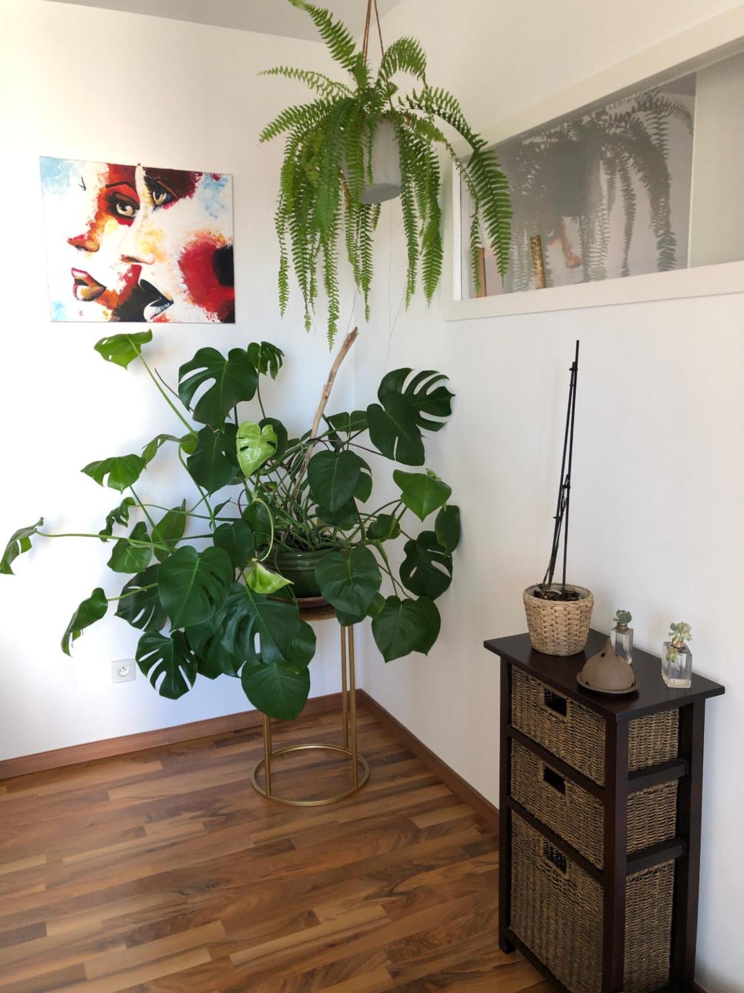 Bel Appartement Nimois Au Calme Avec Balcon Nîmes Buitenkant foto